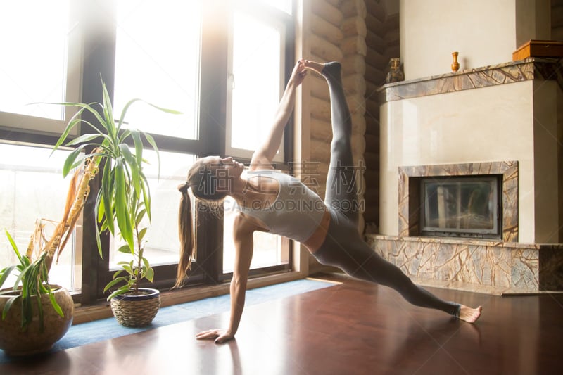 side plank pose,住宅内部,女人,青年人,背景聚焦,瑜珈,斜肌,阿鲁坦加,平板支撑,动物玩偶