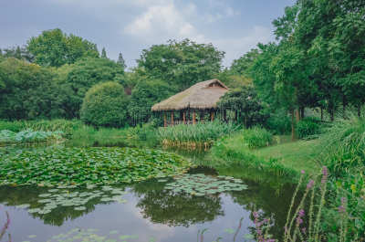 小屋,池塘,中国,西湖,杭州,古老的,平衡折角灯,东亚,湖,户外