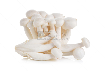 姬菇,白色背景,食用菌,白色,山毛榉树,自然,饮食,水平画幅,无人,组物体