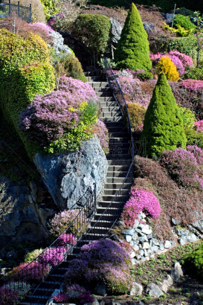楼梯,景观设计,布查特花园,多色的,垂直画幅,美,台阶,禅宗,公园,无人