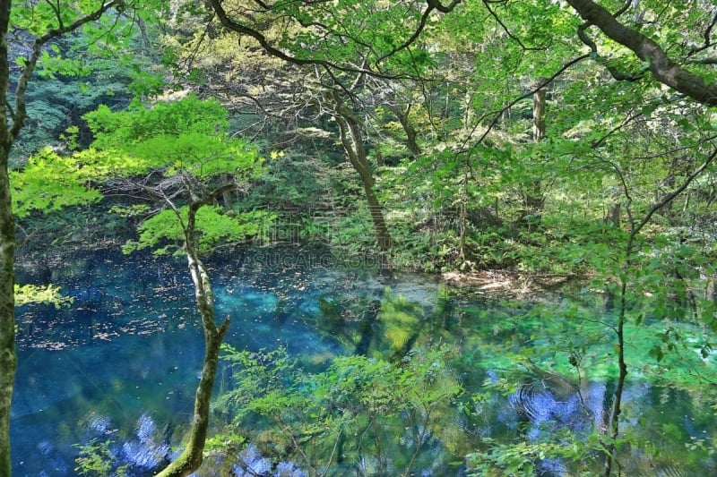 河流,水平画幅,池塘,无人,白神山地,东北片区,日本,户外,湖,青森县