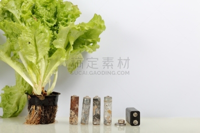环境保护,电池,循环利用,锅,地球日,莴苣,绿色,活力,农业,有毒废物
