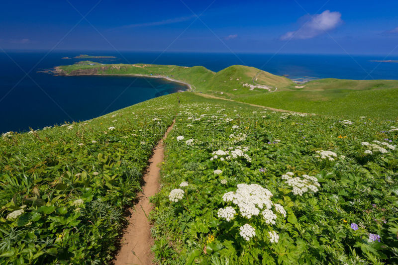 斗篷,礼文岛,草,海岸线,观测点,夏天,户外,天空,晴朗,日本