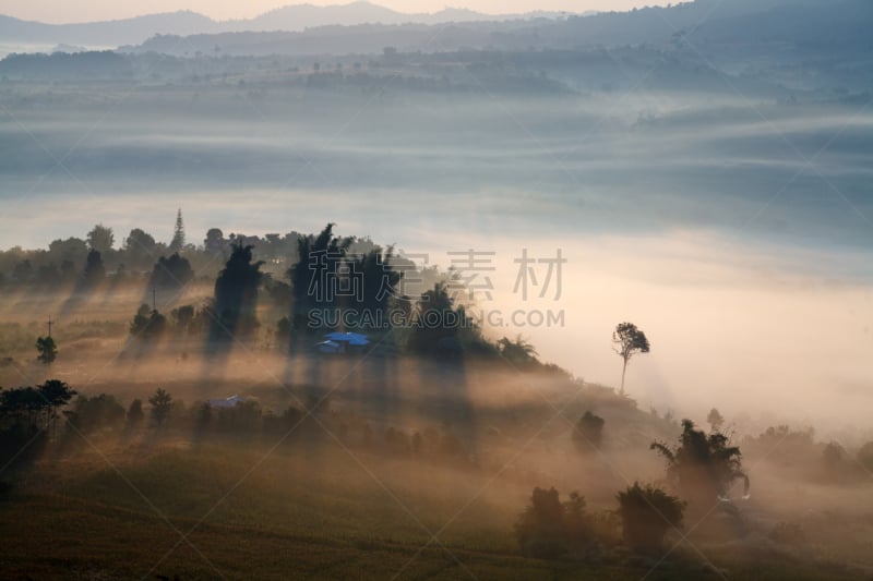 雾,视角,塔朗街,彭世洛府,交通汽艇,林务官,水平画幅,枝繁叶茂,夏天,户外