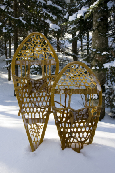 雪,穿雪鞋走路运动,一对,垂直画幅,寒冷,木制,户外,徒步旅行,树林,白色