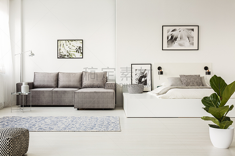 沙发,角落,床,地毯,式样,灰色,室内,极简构图,摄影