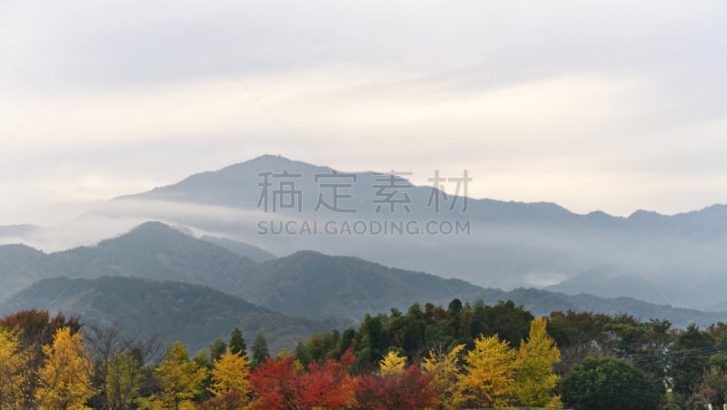 风景,daisen,水平画幅,秋天,无人,日本,神奈川县,摄影