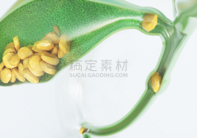 胆石,三维图形,胆囊,黄疸病,胆汁,新陈代谢,膀胱,胆固醇,肝脏,人类消化系统
