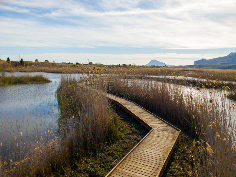 A wooden path over a swamp in the wetlands nature park La Marjal in Pego and Oliva, Spain. Segaria and MontgÃ³ mountains are in the background.