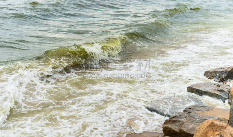 赤潮,海洋,浮游生物繁殖,浮游生物,水,美,水平画幅,睡莲,沙子