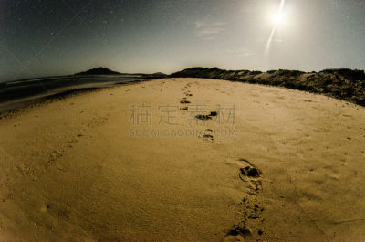 海滩,水,天空,水平画幅,沙子,无人,旅行者,野外动物,夏天,布希曼族