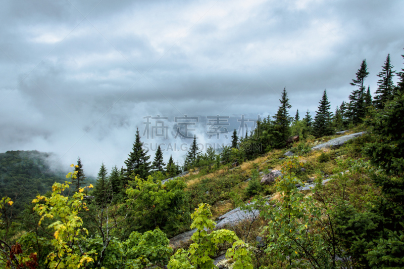 雨,雾,全景,塔伯拉山滑雪场,汤布朗山省立公园,水平画幅,无人,户外,针叶树,北美