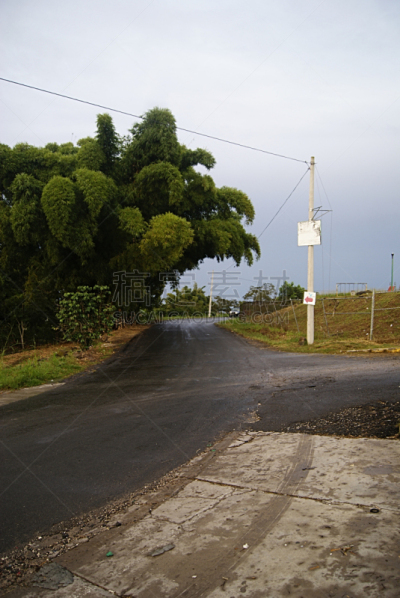 vista lateral de camino rural con plantío de bambú a lado de la carretera, en Veracruz México 2018