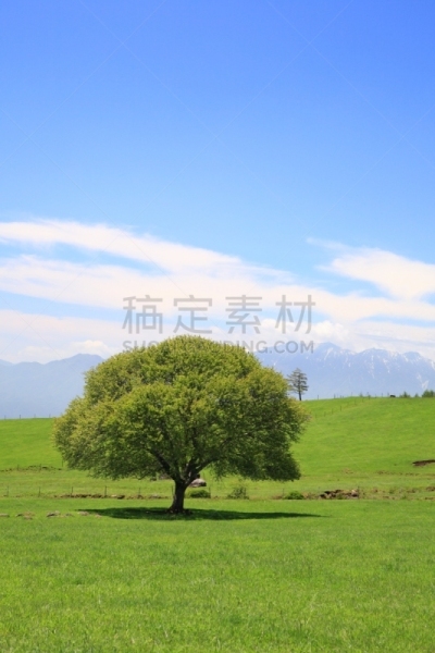 绿色,草地,垂直画幅,天空,里山,草原,无人,火山地形,纯净,树