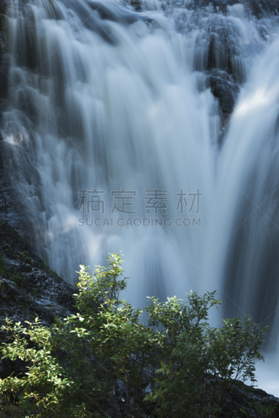 瀑布,日本,垂直画幅,水,美,度假胜地,沟壑,长野县,苔藓,纯净