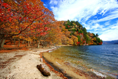 自然美,风景,叶子,红花槭,日高,天空,日光市,日光国家公园,水平画幅,枫叶