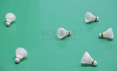 毽子,羽毛球运动,羽毛球,球拍,职业运动员,体育场,健身设备,休闲活动,水平画幅,马来西亚