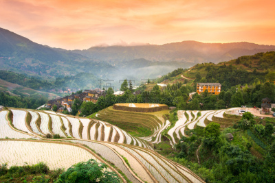龙脊梯田,梯田,桂林,田地,中国,米,在上面,龙胜,水稻梯田,栽培植物