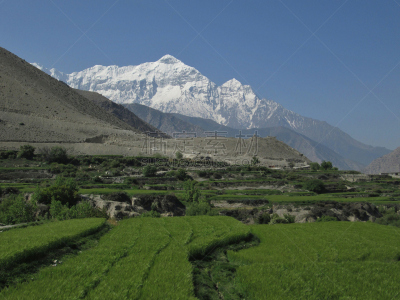 田地,山,前面,绿色,卡格贝尼,姆斯堂自治区,安纳普纳生态保护区,安娜普娜环线,水平画幅,雪