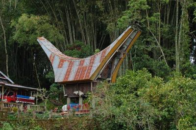 特拉加,苏拉威西,房屋,印尼民居,人,农业,塔纳岛,传统,华丽的,南苏拉威西省