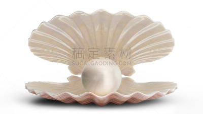 贝壳,绘画插图,闪亮的,海洋,珠母,宝石,珠宝,珍珠牡蛎,白色背景,品牌名称