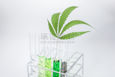 背景,实验室,绿色,化学制品,古老的,概念,科学,商务,健康保健