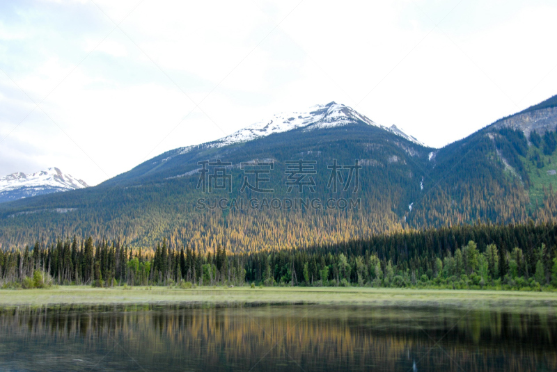 驼鹿湖,罗布森山省立公园,加拿大落基山脉,黄昏,大不列颠哥伦比亚,加拿大,春天,罗伯逊山,省立公园,水平画幅