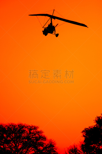 飞行器,接力赛,垂直画幅,飞行员,天空,在之后,树梢,平视角,户外,开着的
