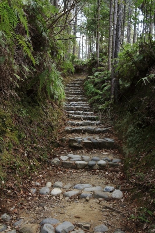 熊野古道,日本,和歌山县,海上航道,世界遗产,环境保护,小路,户外,天空,木制