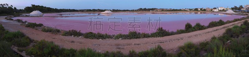 非凡的,粉色,马略卡,盐滩,塞萨利内斯,地形,西班牙,科洛尼亚,特拉华,日出