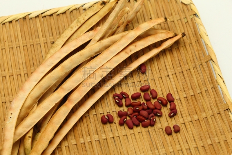 农作物,菜豆,水平画幅,日本,腰豆,房屋,豆,红色,植物,成分