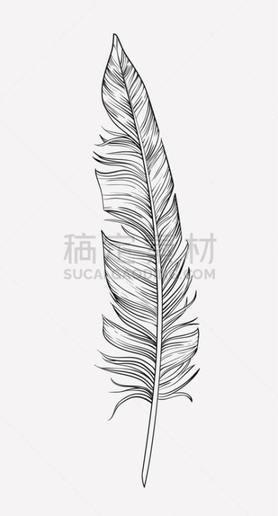 翎毛,动物手,鹅毛笔,鬃,动物围栏,阿兹特克文明,垂直画幅,风,纺织品,绘制