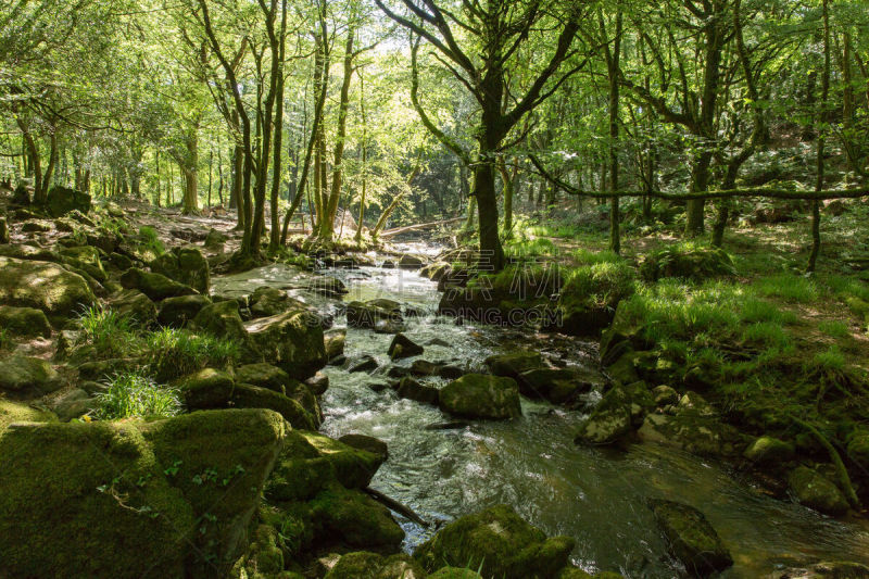 康沃尔,英格兰,戈利撒瀑布,Bodmin Moor,Fowey河,美,水平画幅,无人,福伊河