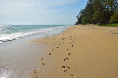海滩,脚印,水,天空,度假胜地,水平画幅,沙子,无人,椰子树,夏天
