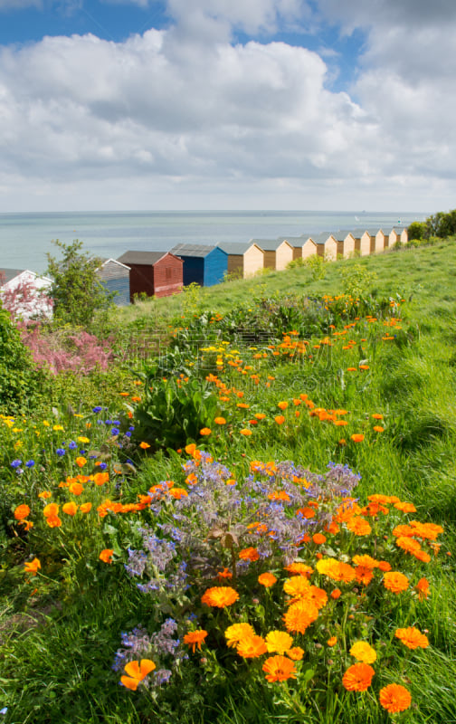 whitstable,海滩小屋,色彩鲜艳,肯特,垂直画幅,肯特岛,木制,无人,小屋,英格兰