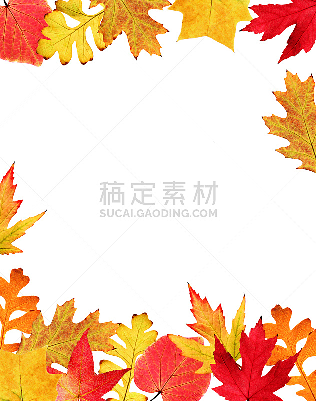 叶子,秋天,国境线,垂直画幅,美,褐色,边框,无人,特写,明亮