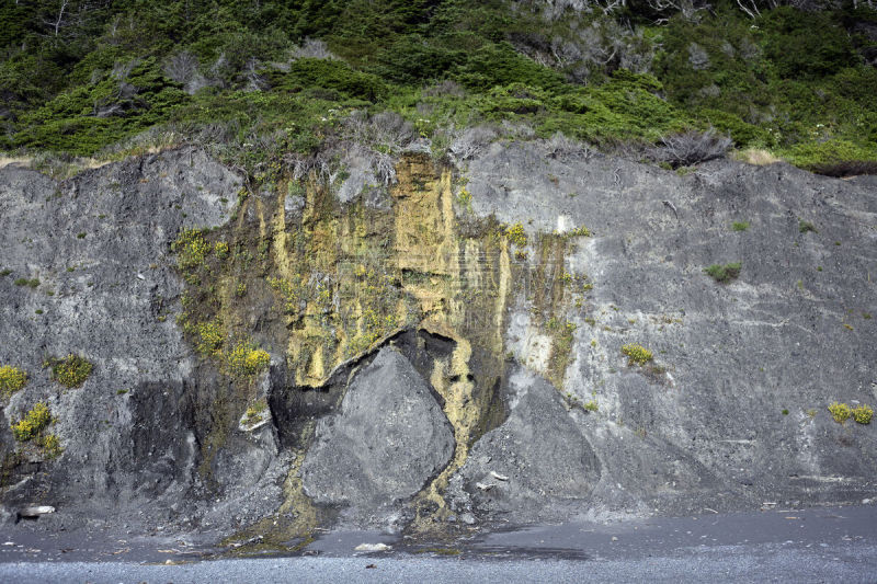 失落的海岸,美国,水平画幅,无人,斑海豹,建筑外部,海洋生命,户外,灯塔楼,美洲