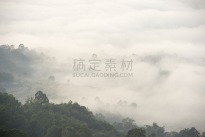 稻田,雾,早晨,格林威治村,有包装的,亚洲,自然,乡村,锥形帽,风