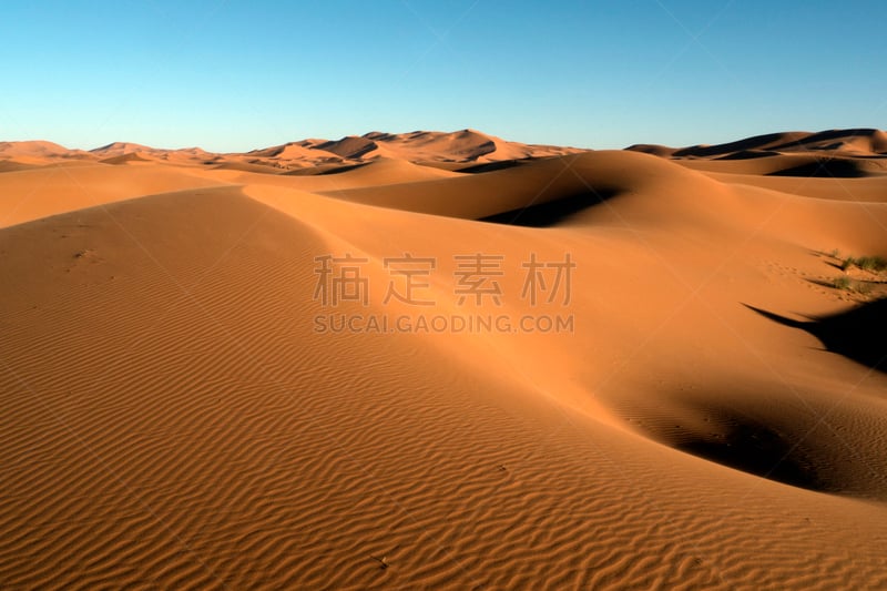 莫鲁加,摩洛哥,erg chebbi dunes,沙丘,热,阴影,沙漠,背景,夏天,户外