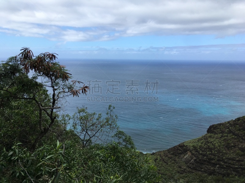 考艾岛,夏威夷,冬天,悬崖,纳柏里海岸,太平洋岛屿,波立黑州立公园,图像,颇里希而海滩,花朵