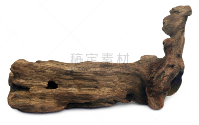 自然,水,褐色,灰色,水平画幅,风化的,无人,古老的,白色背景,大木河