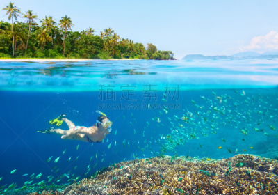 浮潜,水,女人,透明,鸡尾酒,呼吸管,潜水镜,珊瑚,礁石,潜水