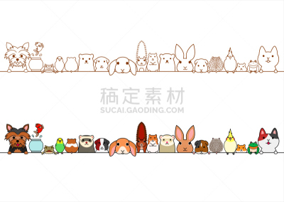 可爱的,动物,宠物,国境线,澳洲鹦鹉,虎皮鹦鹉,长尾鹦鹉,豚鼠,仓鼠,雪貂