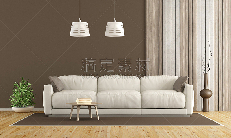 沙发,白色,起居室,极简构图,褐色,水平画幅,墙,无人,地毯,灯