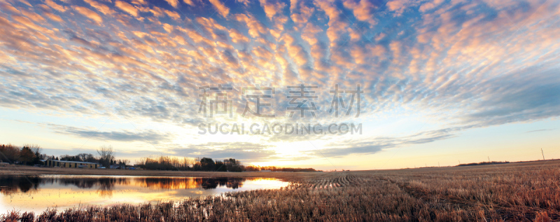 早晨,草原,布兰顿,马尼托巴湖,自然,水,天空,水平画幅,地形,无人