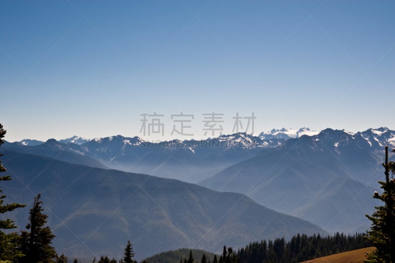 飓风山脊,奥林匹克山脉,奥林匹克山,公园,水平画幅,山,无人,户外,山脊,田地