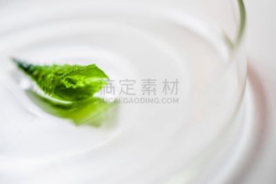 皮氏培养皿,自然,草药,芦荟,商品,彩妆,化学课,科学实验,纯净,生物化学
