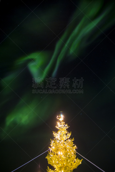 北极光,圣诞树,垂直画幅,冬天,无人,康克鲁斯瓦格,北美,格陵兰,摄影