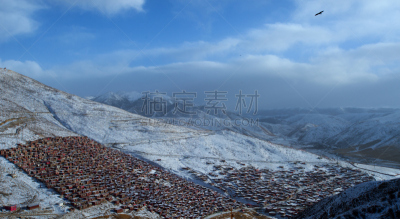 佛教,人,喇麻庙,甘孜藏族自治州,寺院,明星,教育建筑,乡村路,修道院,雾