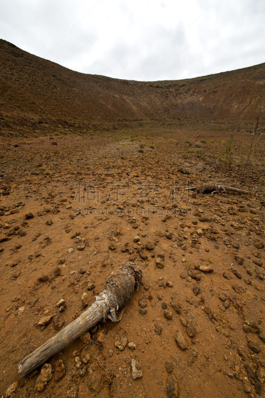 兰萨罗特岛,山,夏天,植物,灌木,西班牙,木制,timanfaya national park,垂直画幅,天空